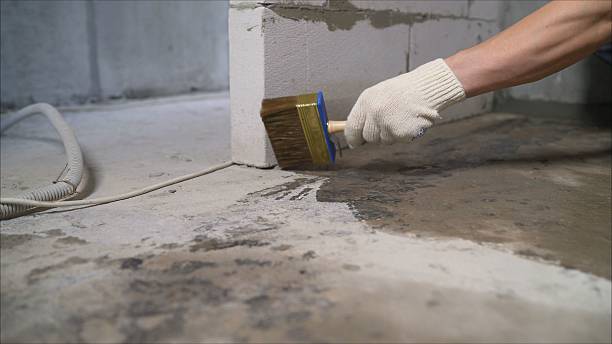 SJ Waterproofing Pros Waterproofing coverage map for Bitely, MI and surrounding area